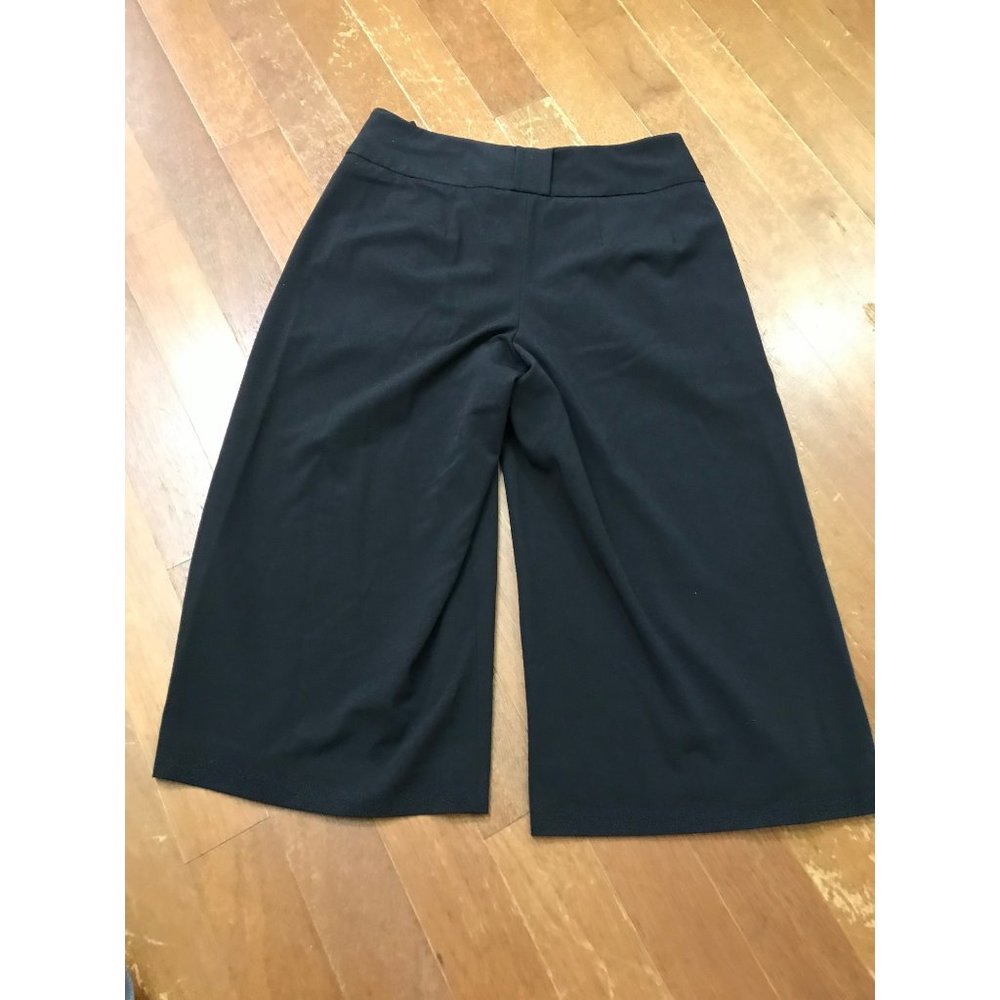 Cache Capri Pants Size 6 - image 5